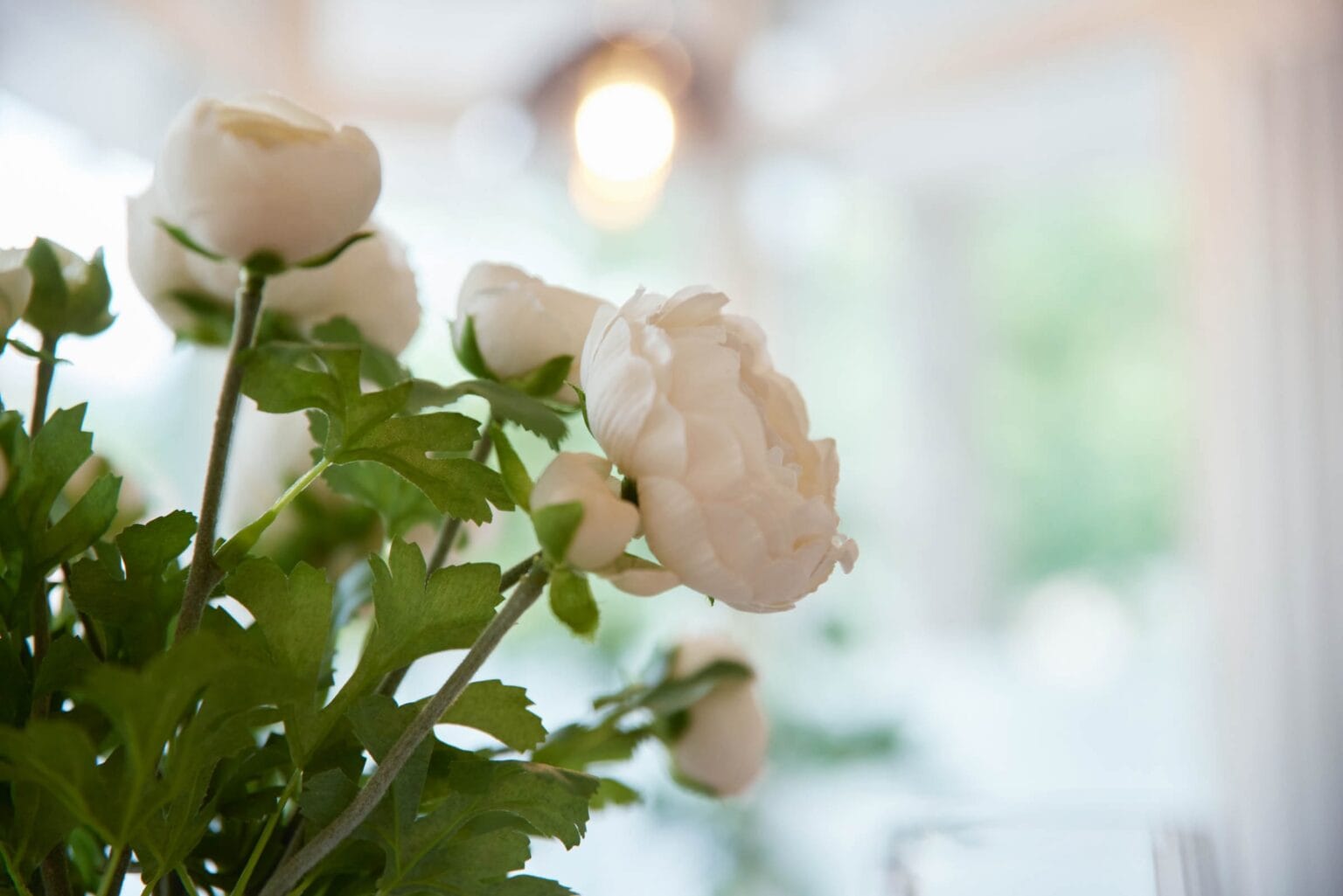 IDEE Living - Weiße Blumen in einer Vase auf einem Tisch.