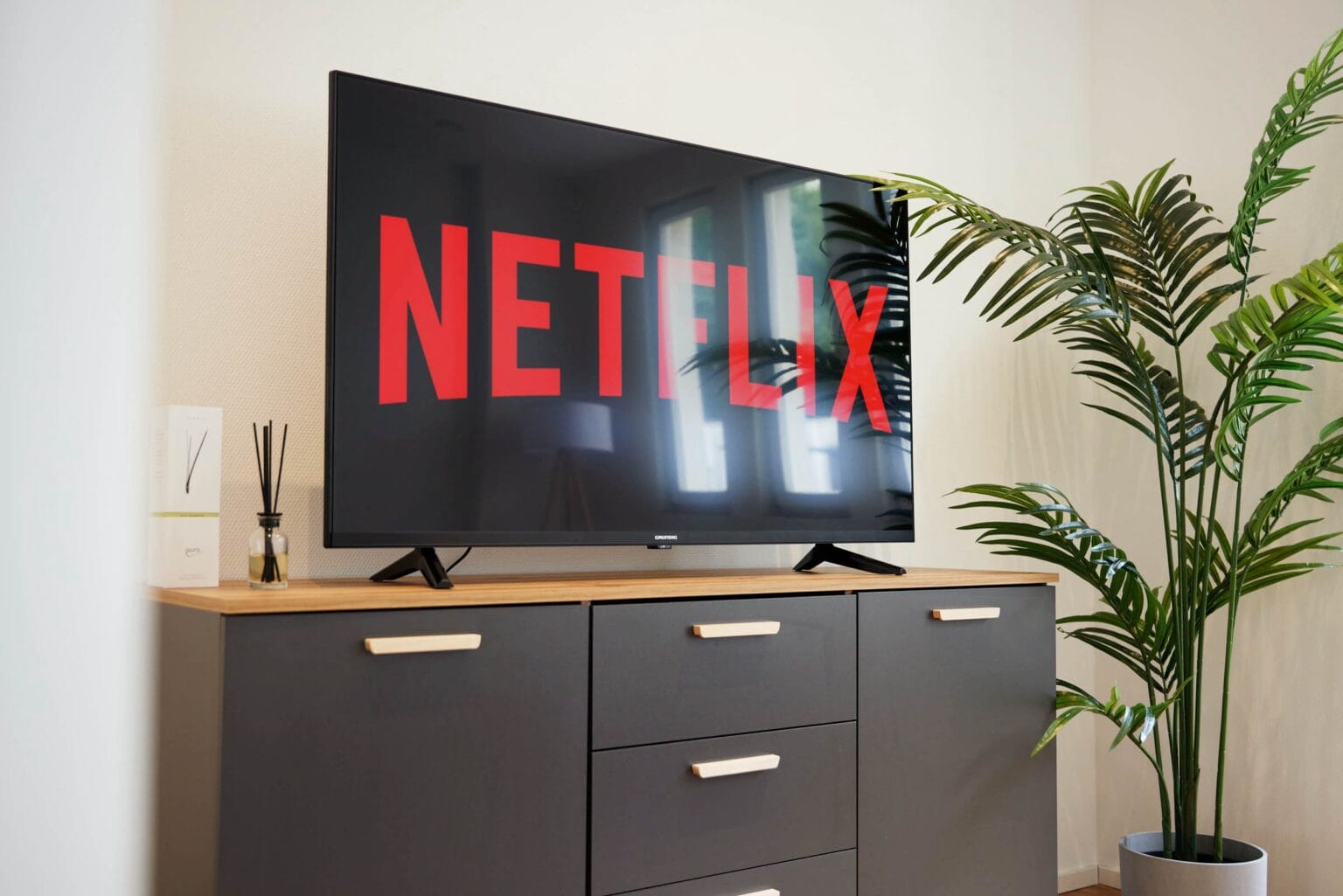 IDEE Living - Ein Fernseher mit dem Netflix-Logo in einem Wohnzimmer.