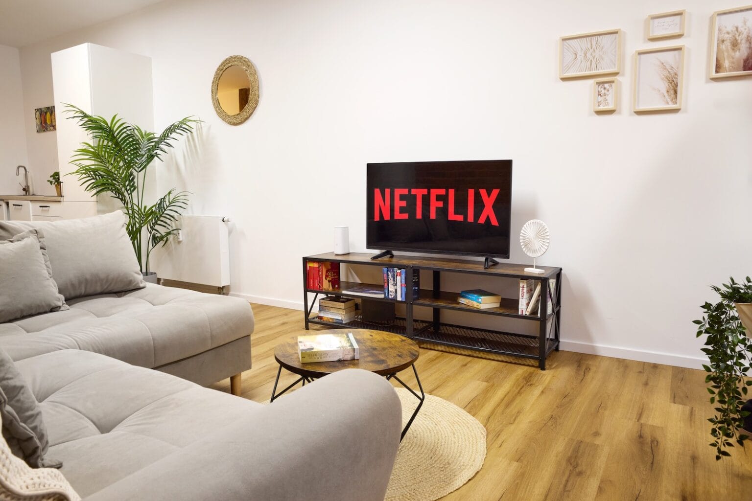 IDEE Living - Ein modernes Wohnzimmer mit einem grauen Sofa, einem runden Couchtisch und einem Fernseher auf einem schwarzen Ständer mit dem Netflix-Logo. Der Raum verfügt über Holzböden, gerahmte Kunstwerke und Zimmerpflanzen.