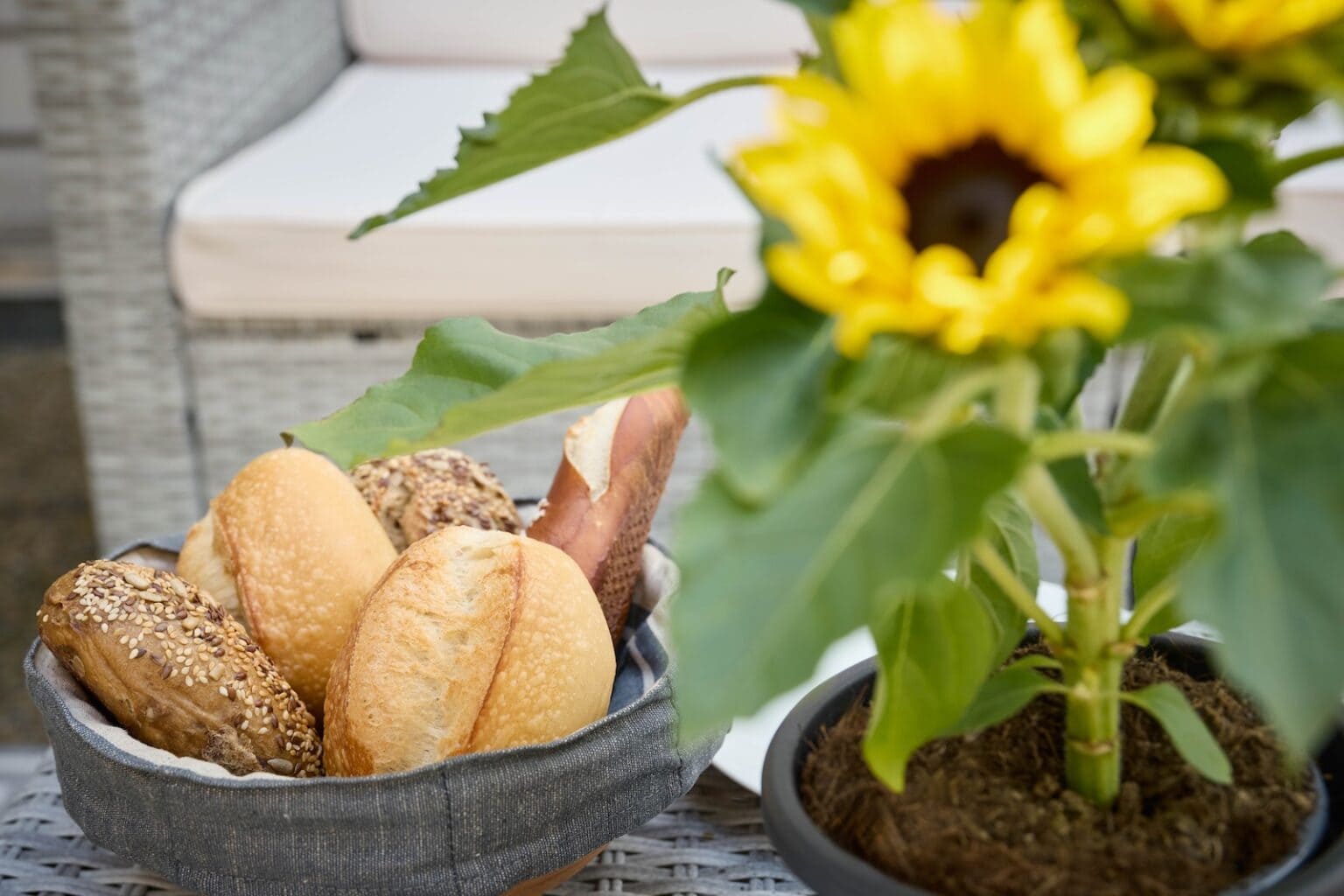 IDEE Living - Ein Korb mit verschiedenen Brötchen steht neben einem Topf mit einer blühenden Sonnenblume auf einem Tisch im Freien.