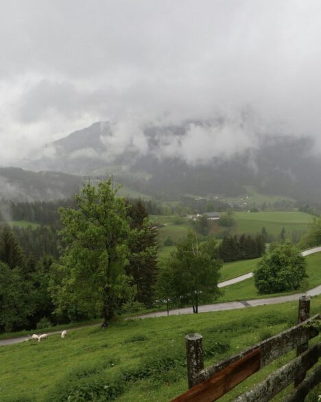 a lush green hillside covered in clouds and trees